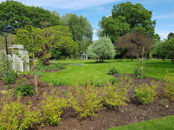 We currently look after a range of properties from small private gardens to large residential communal grounds and we offer a regular garden maintenance service to keep your garden tidy and presentable. The number of visits is tailored to suit each customer’s individual requirements and budget.
We also offer tidy up or garden clearance visits because sometimes it’s not always possible to keep on top of all the maintenance yourself. These visits can be tailored to your specific requirements to help you get your back garden to a presentable standard again. Letting agents who have properties with overgrown gardens and need to get them back to high standard before they are rented again often make use of this service. Other clients are sometimes homeowners who have just moved into a new property and want to make use of this service to clear their new garden.